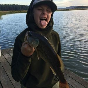 Meet your Posher, Ben