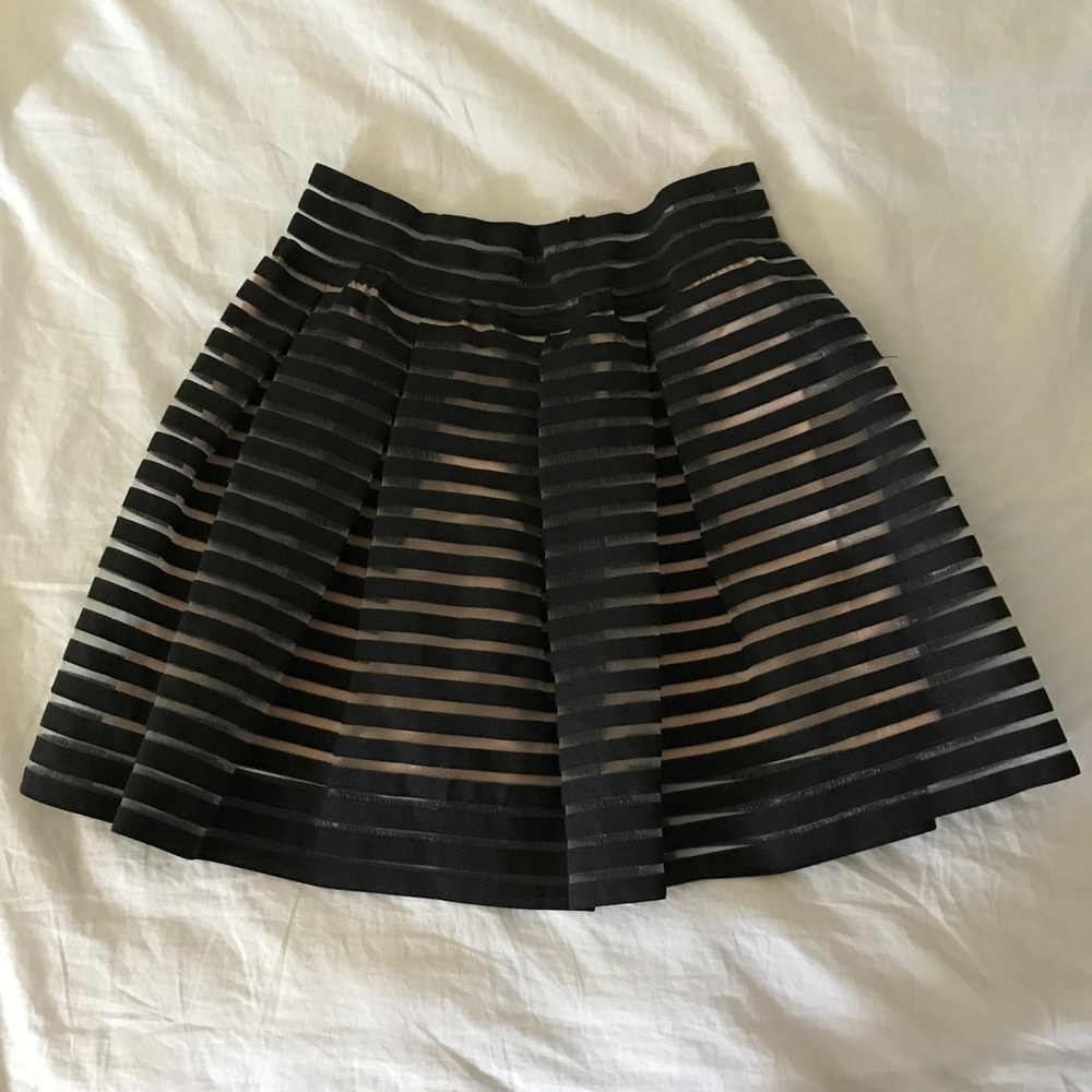 Dressy skirt!