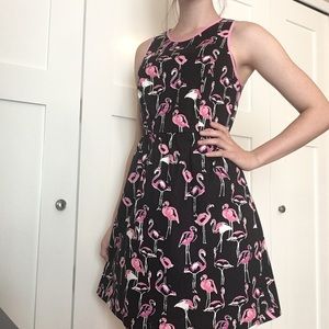 Crown and Ivy Flamingo Dress