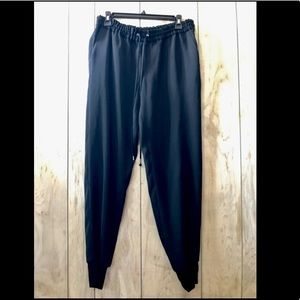 Express Casual or Dress Jogger Pants