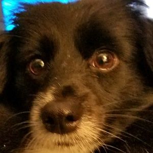 Meet your Posher, Nick