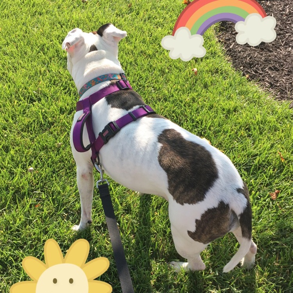 Meet your Posher, Rebecca