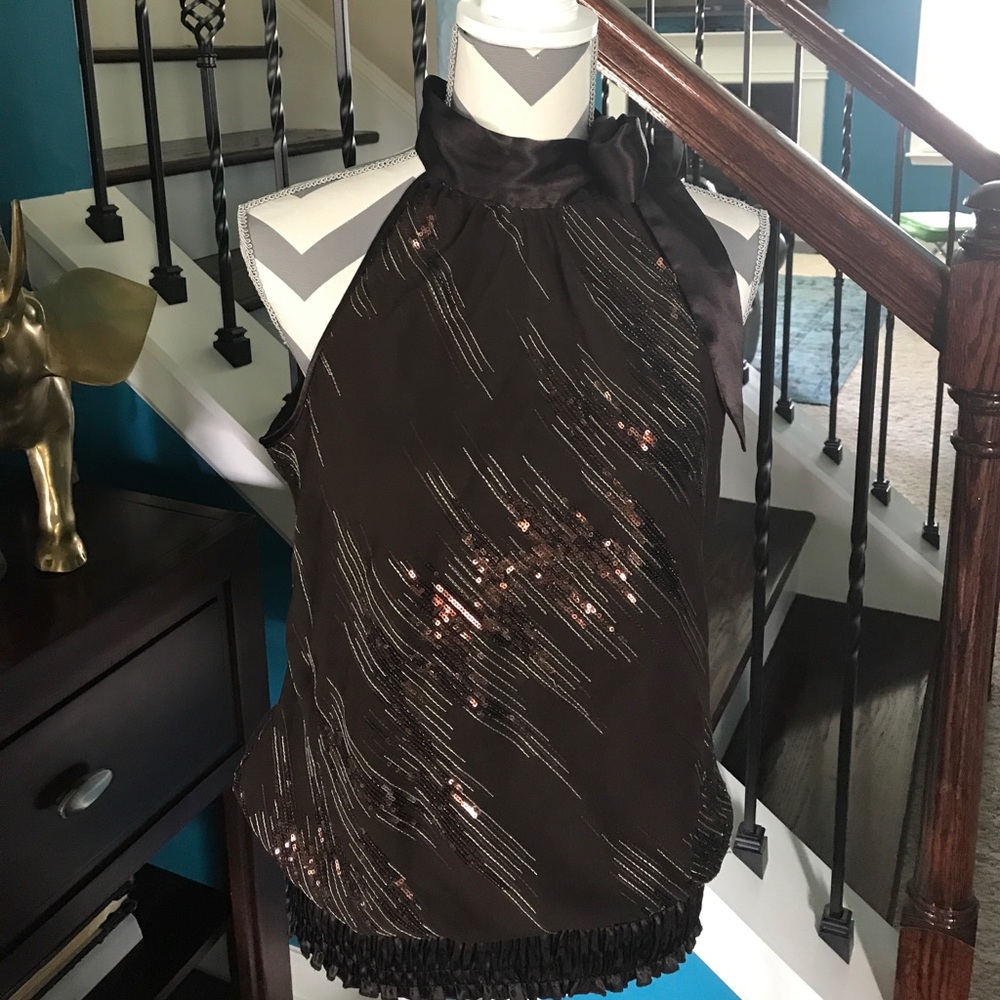 Chocolate Shimmering Blouse