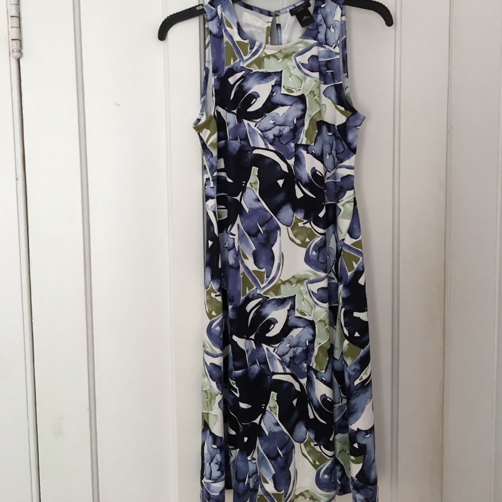 Ann Taylor dress