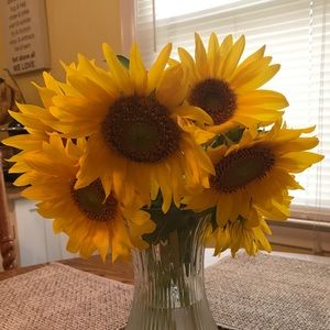 Meet your Posher, Felicia