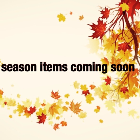 Next day shipping--Plus Size--Make an Offer - Picture 3 of 4