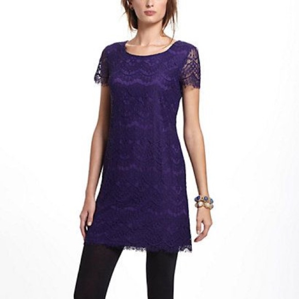 Pinkyotto Purple Sasha Lace Shift Dress