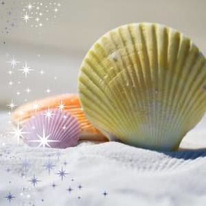 Meet your Posher, Pam