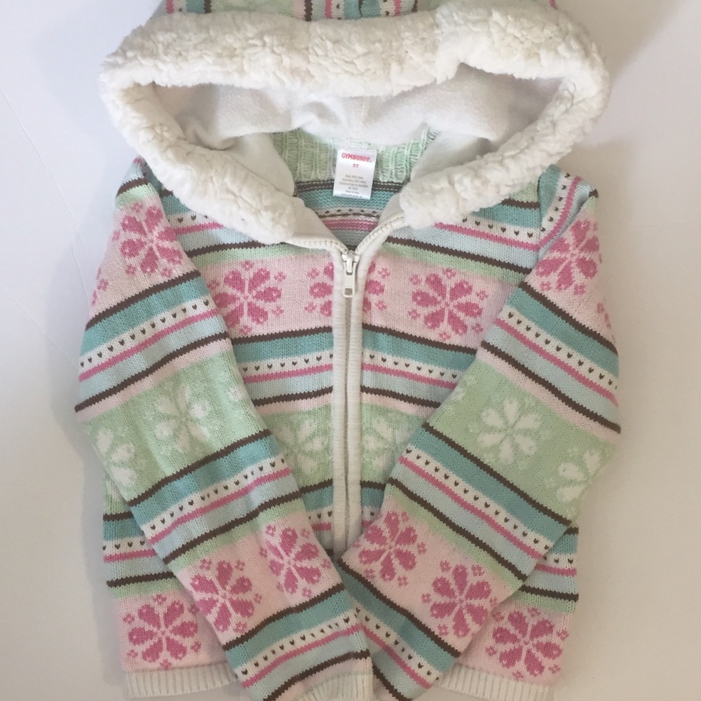 Gymboree winter sweater