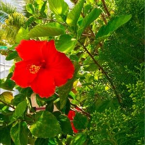 Meet your Posher, Daniela