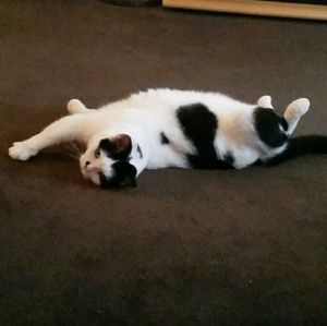 Meet your Posher, Cheryl