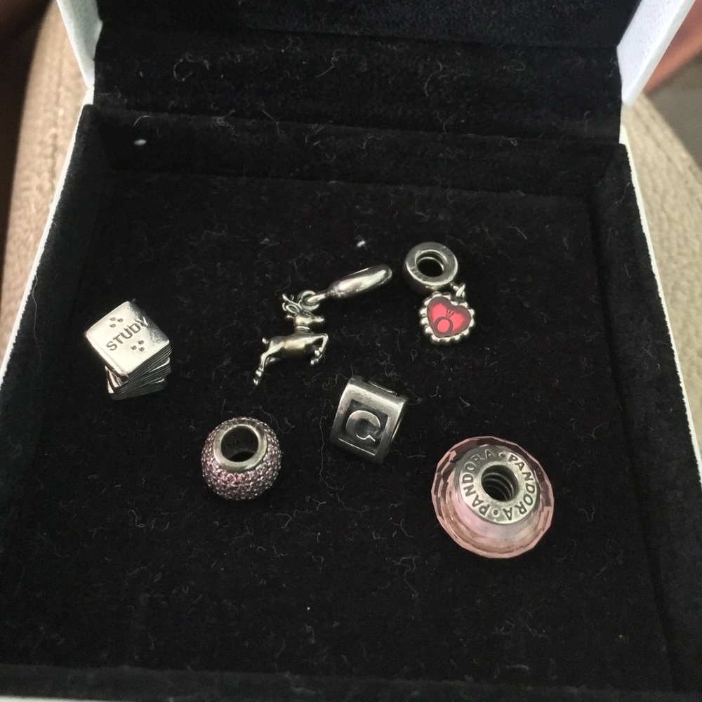 Pandora charms