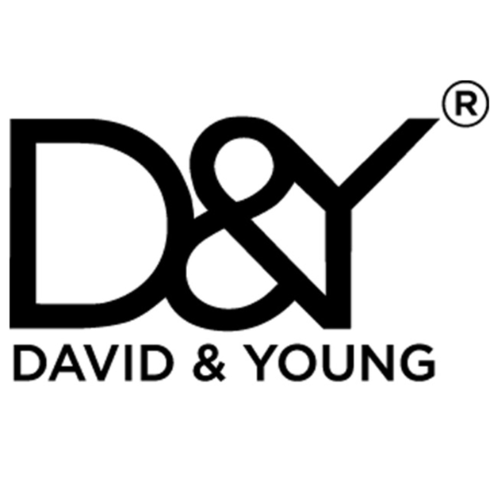 🆕 NWOT David & Young 'Softer Than Cashmere' Scarf - Picture 2 of 5