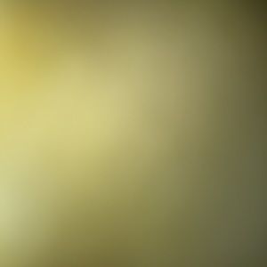 Meet your Posher, Kenya