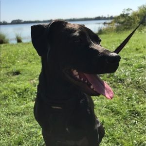 Meet your Posher, Eduardo