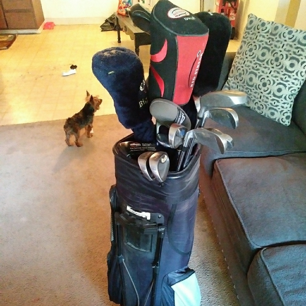 Bag with golf clubs