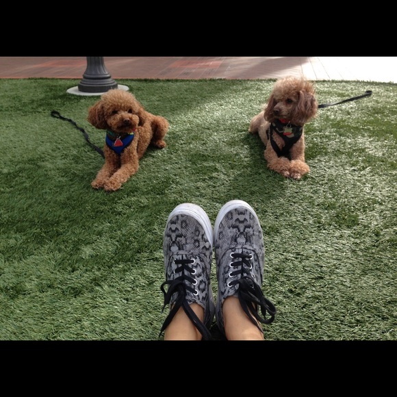 Meet the Posher! - Picture 2 of 4