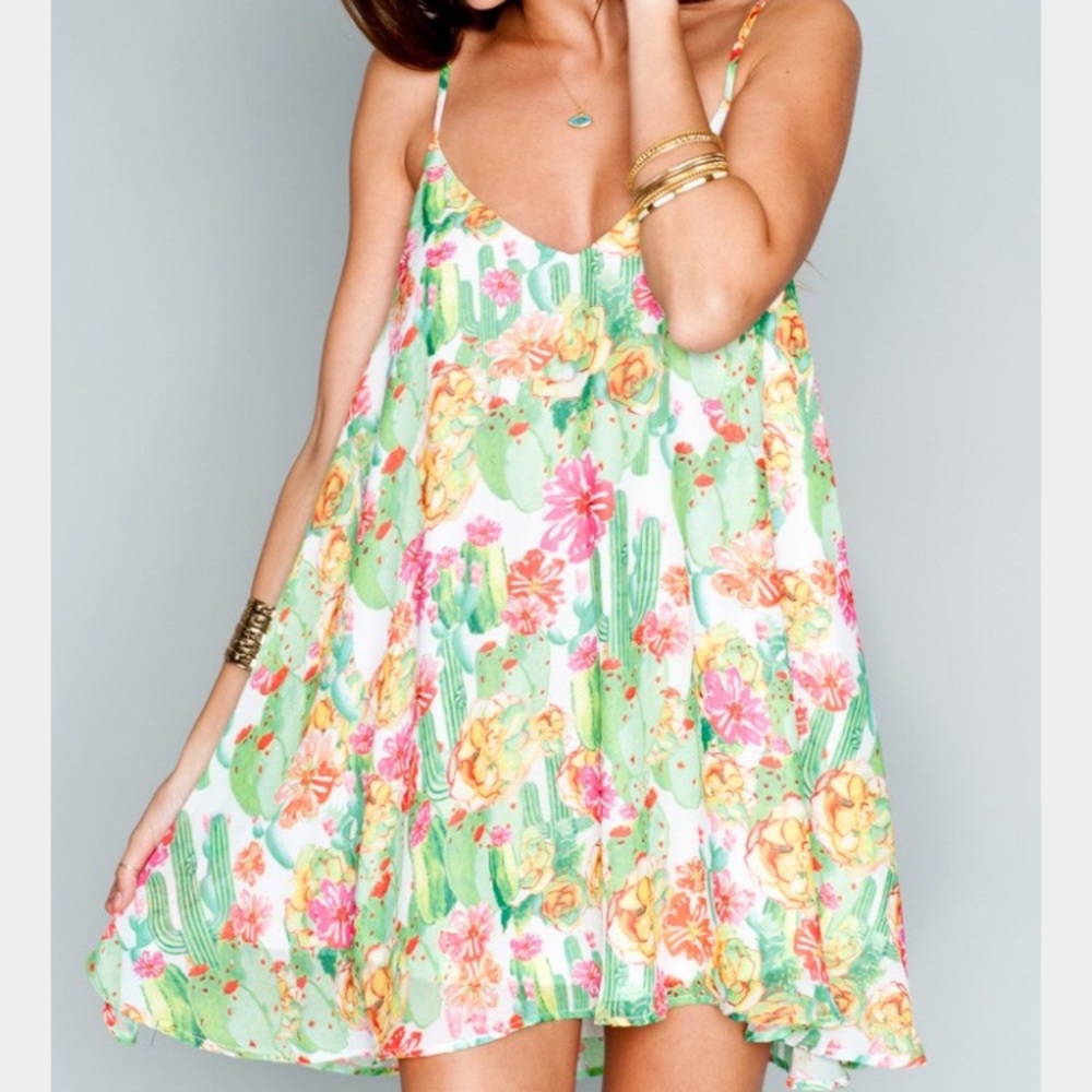 Show me your mumu mini dress