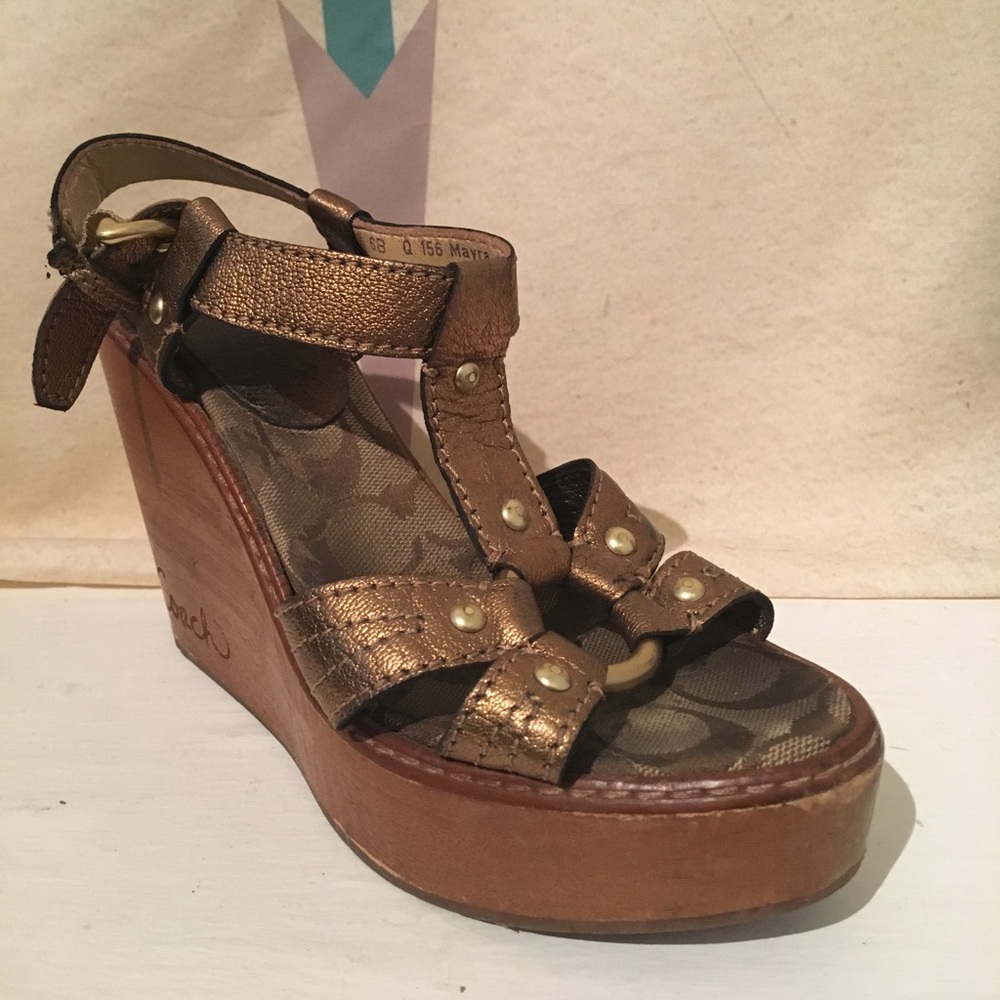 Coach Mayra Metallic Leather Wood Platform Wedges