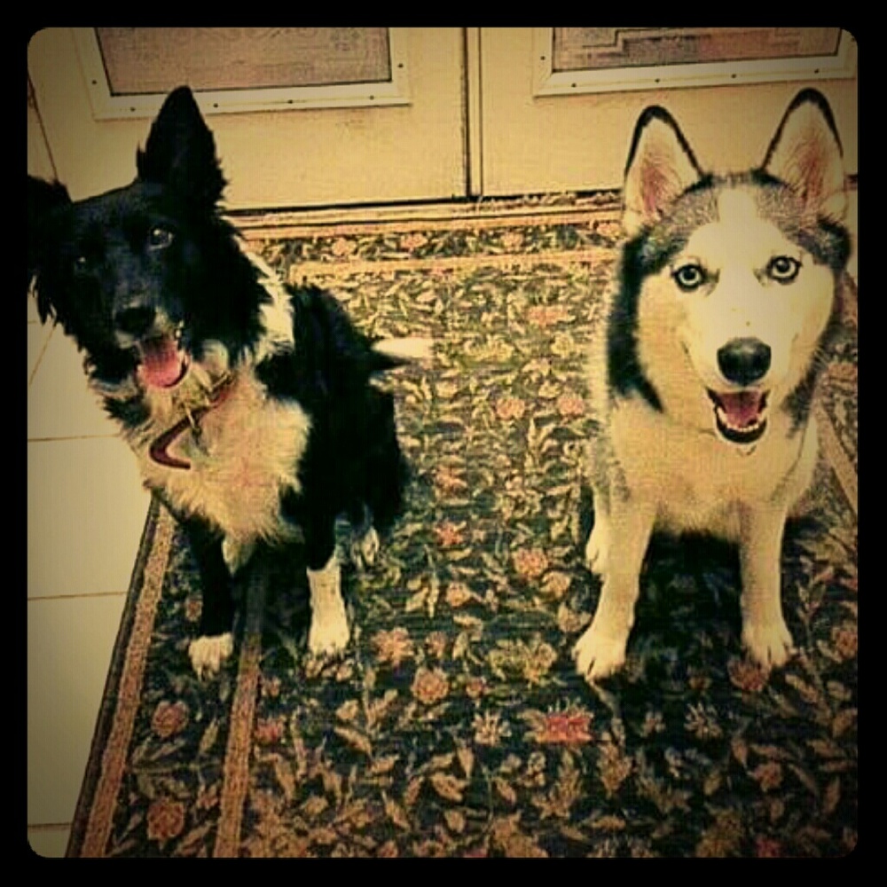 💲💰BUNDLE 2 AND SAVE!💰💲