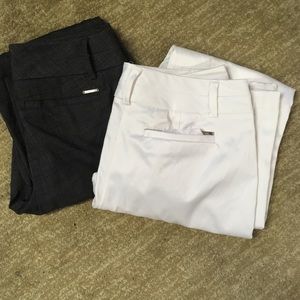 Dress pants