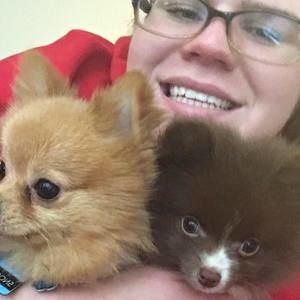 Meet your Posher, Jaime