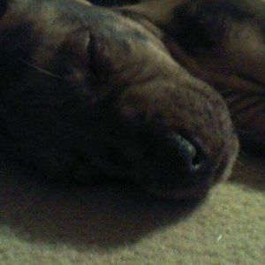 Meet your Posher, Mariah