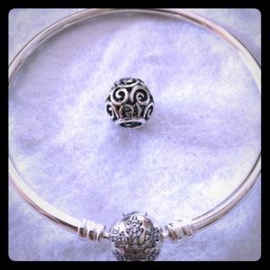 Pandora Bracelet and Charm