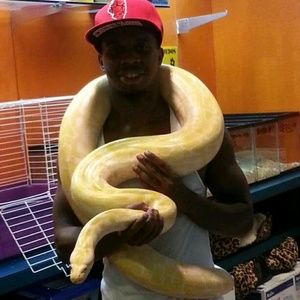 Meet your Posher, Brandon