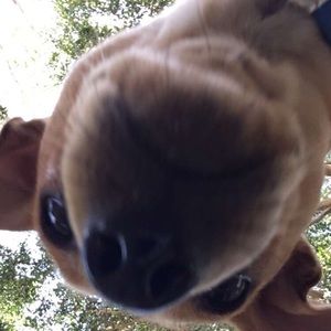 Meet your Posher, Luigi