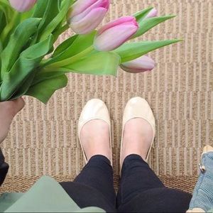 Tieks in Biscotti Patent