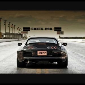 Meet your Posher, Sammy