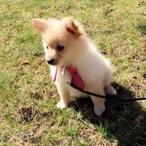 Meet your Posher, Logan