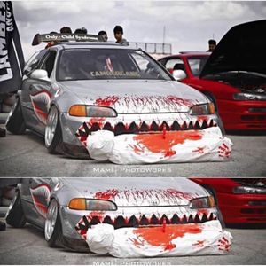 Meet your Posher, Hayden