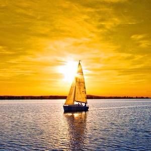 Meet your Posher, Nicholas