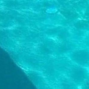 Meet your Posher, Mason