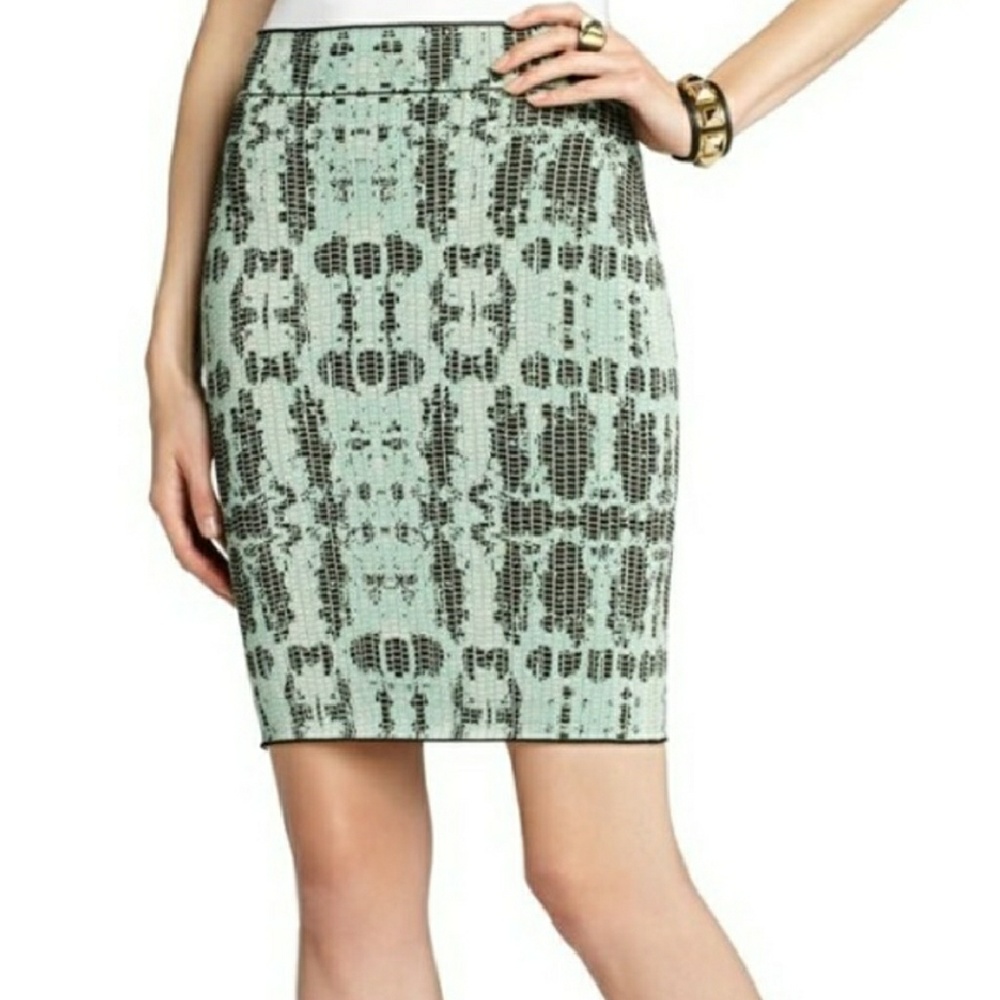 BCBG "Scarlett" skirt
