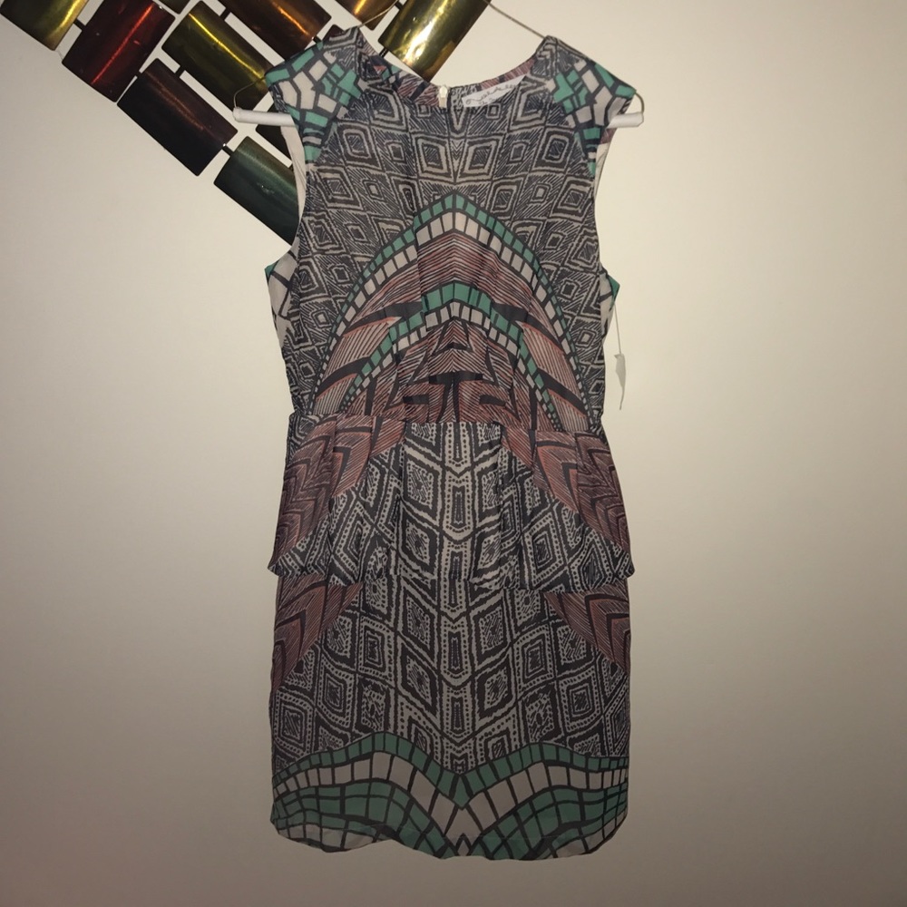 NWT The Impeccable Pig Boutique Dress