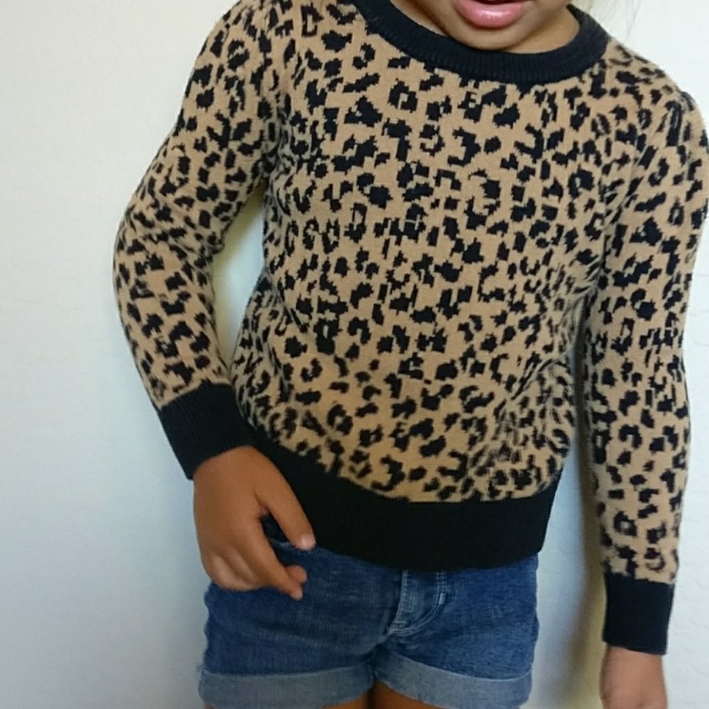 Cheetah print sweater