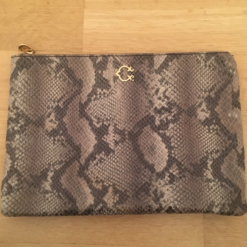 CWonder snake skin clutch