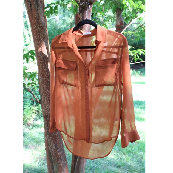 Lush Tops - Nordstrom Rust Orange Sheer Button-Down Blouse