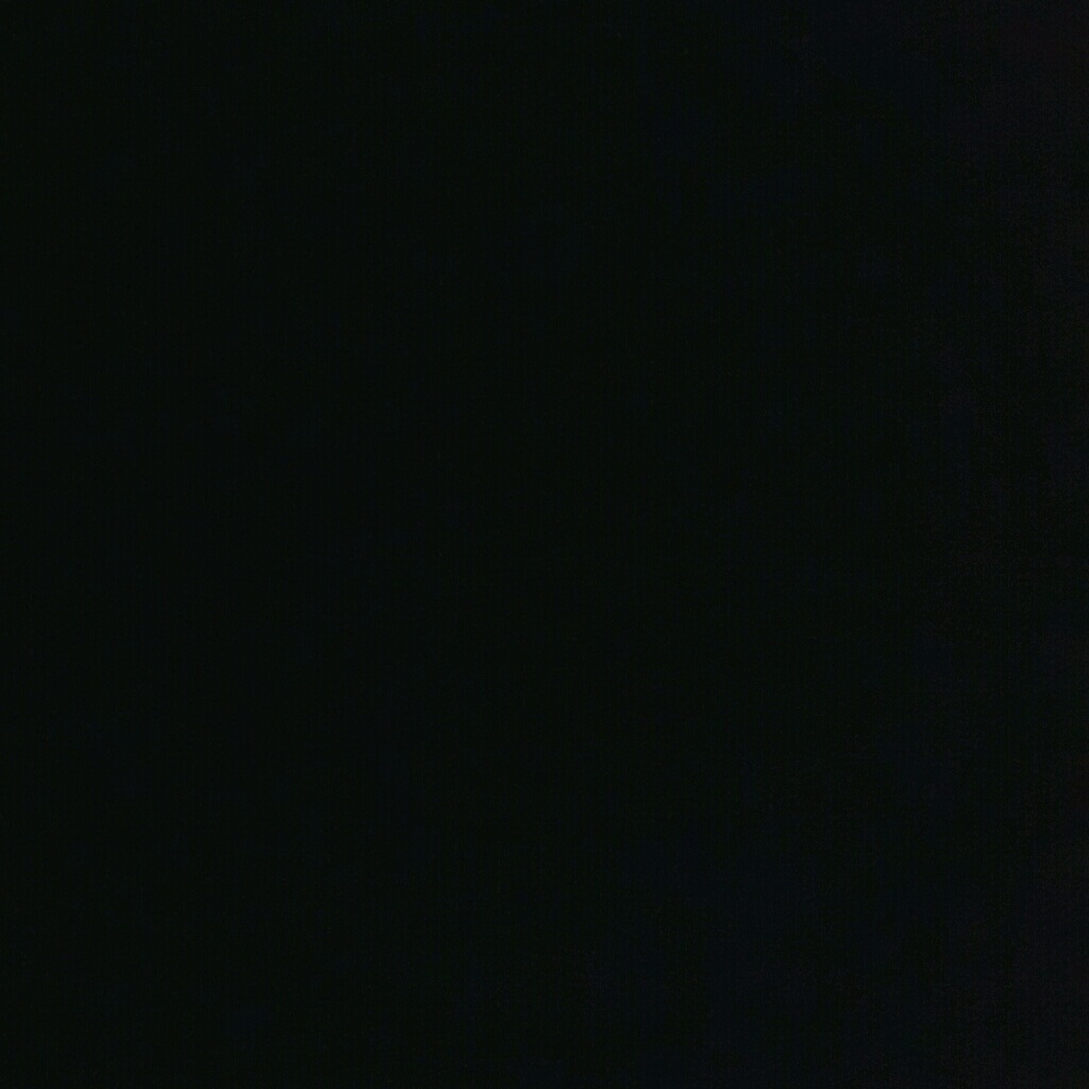 Meet your Posher, Talesha