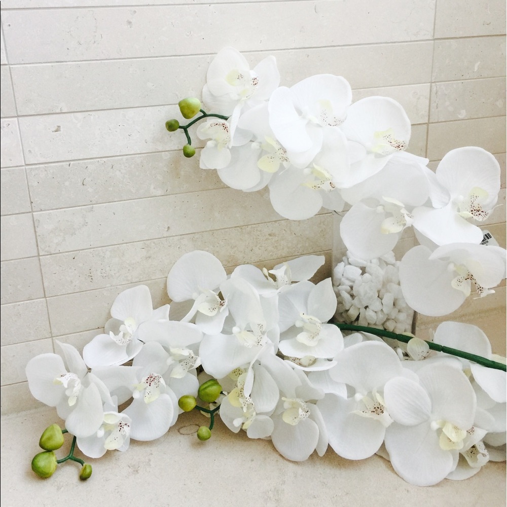 Meet your Posher, Ana