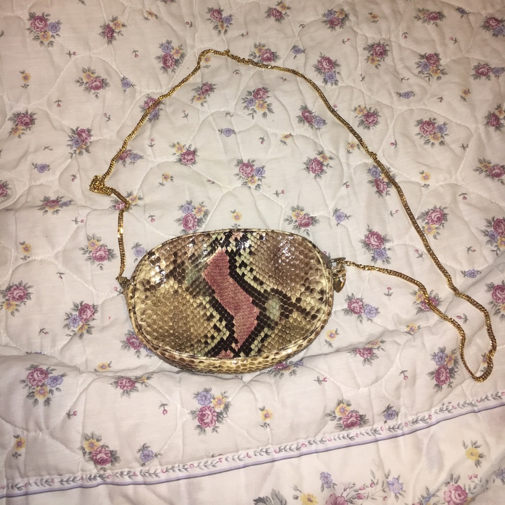 Snake skin purse.