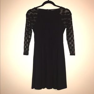 Express skater dress
