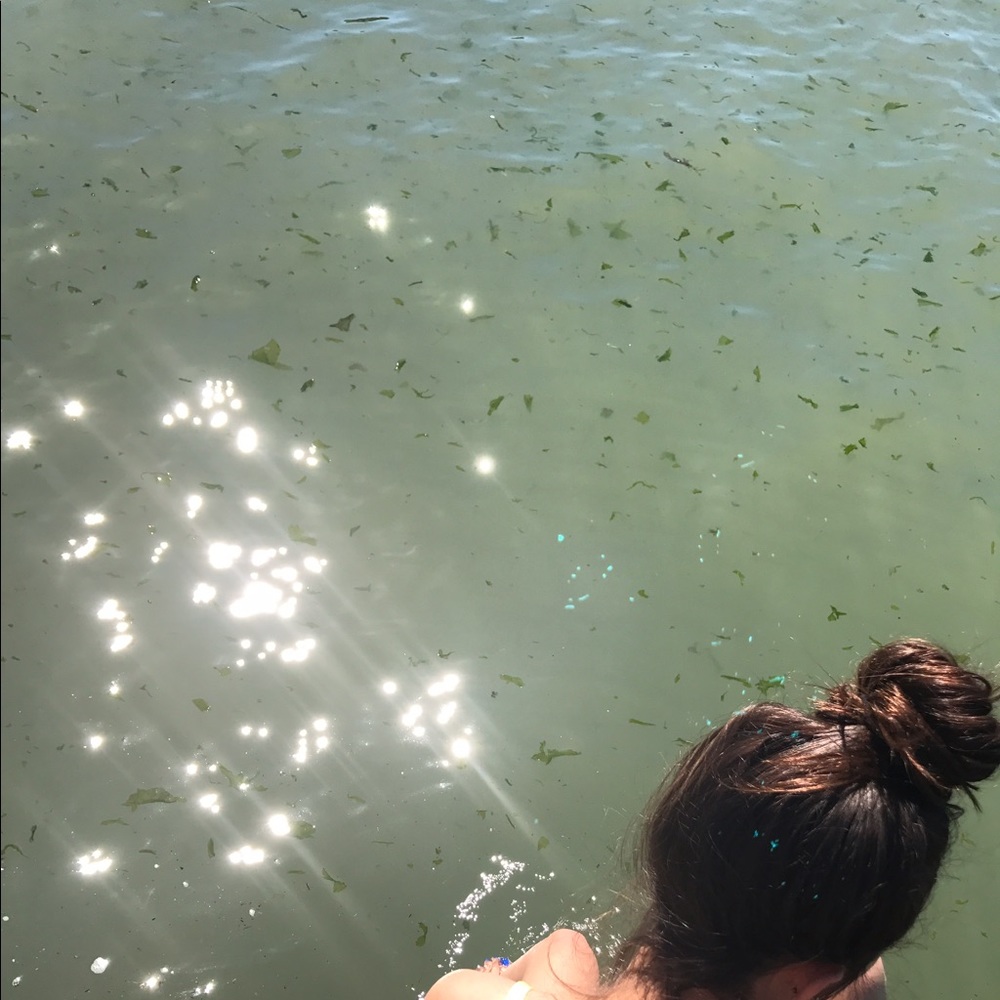 Meet your Posher, Eva