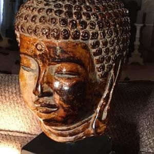 Meet your Posher, Darlene