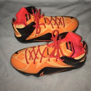 Lebron 12 "witness"