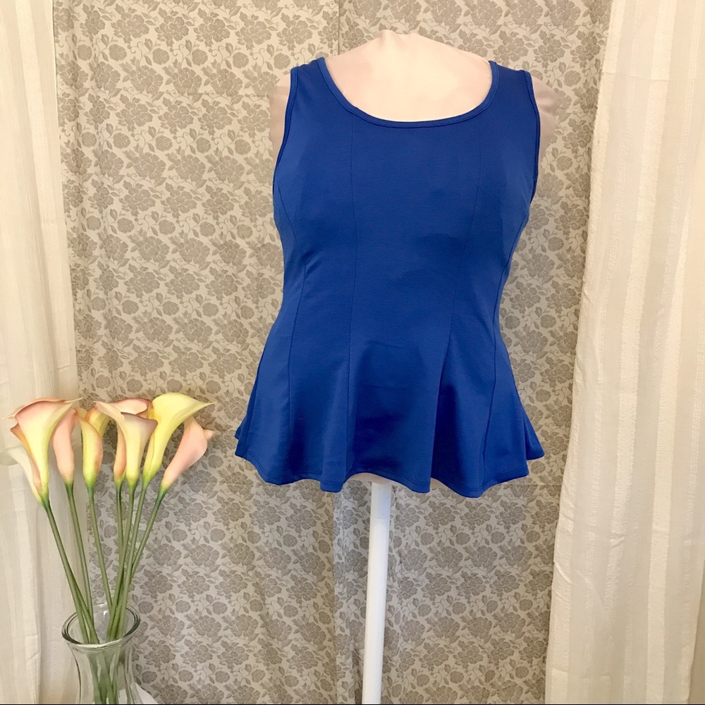 Last Chance! 🆑 Cobalt Blue Plus Paneled Peplum