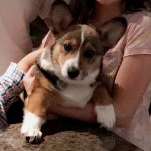 Meet your Posher, Giselle